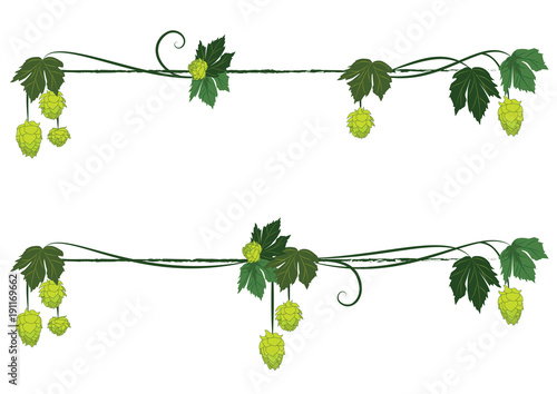 set of hop dividers