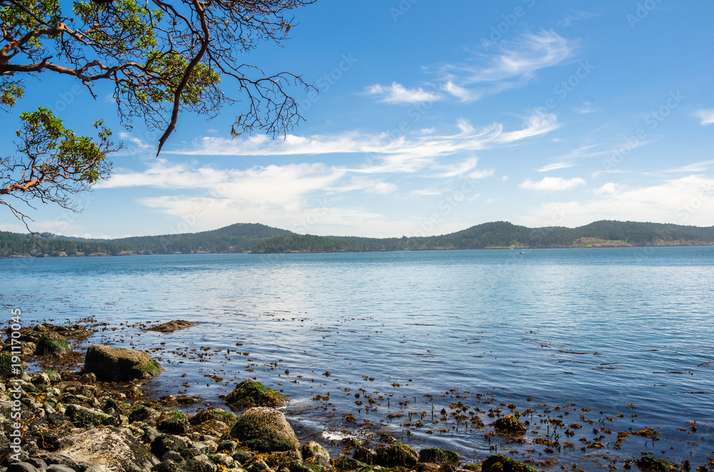Bay along the Coast of East Sooke Park on a Sunny Summer Morning. Vancouver Island, BC, Canada.