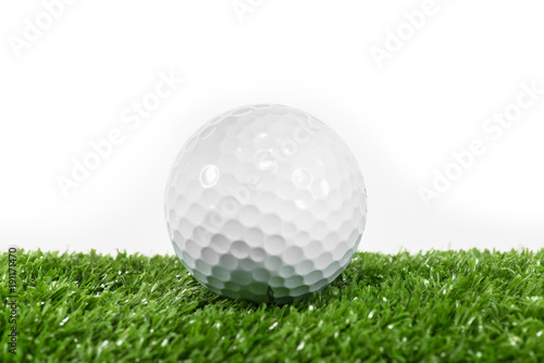 The white ball placed on the green lawn.