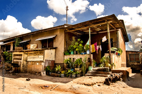 Local house and plants