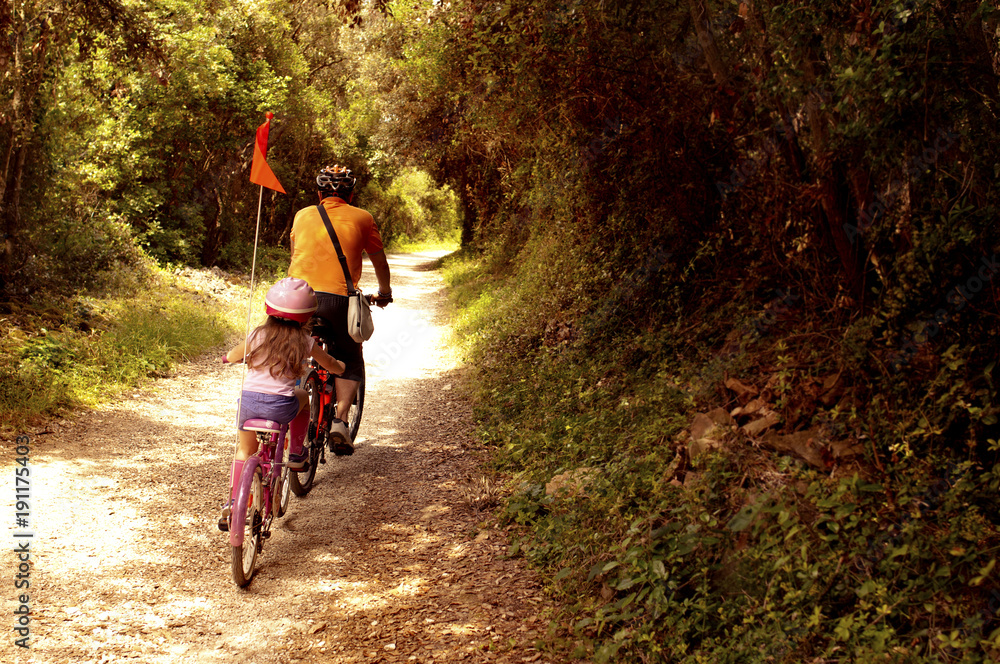 Fototapeta premium Tourists going with bycicles in touristic itinerary of national forest park