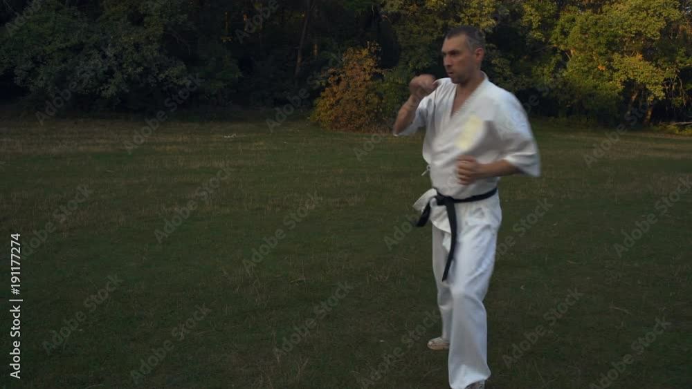 Fighting with the Shadow of the Master Karate Training on the Morning at the Glade in the City Park Fighting with the Shadow of the Master Karate Training on the Morning at the Glade in the City Park