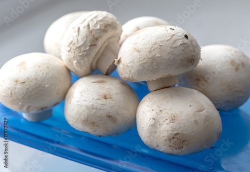 Fresh mushrooms champignons