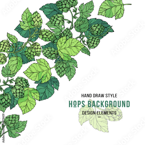 Sketches of hop plant, branch with leaves in engraving style, pattern card. Beer hop banner.