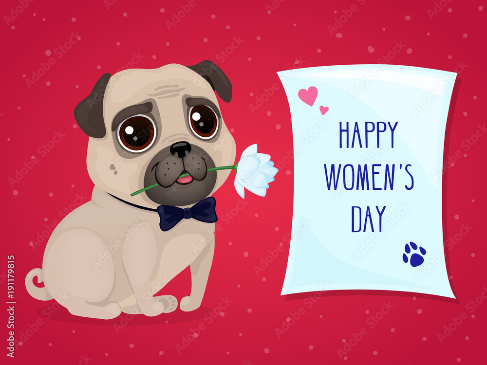 Greeting card for Women's Day with a cute pug. Vector cartoon dog with  flower and poster. Text 