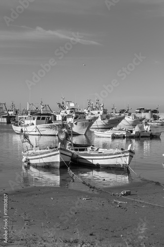 scoglitti