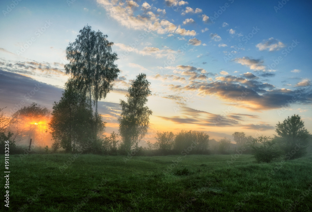 spring morning. a misty dawn in a picturesque meadow. Sun rays spring morning. a misty dawn in a picturesque meadow. Sun rays