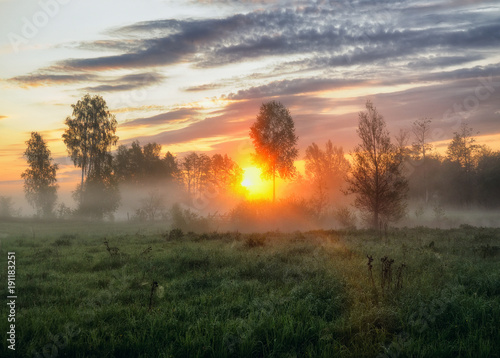 spring morning. a misty dawn in a picturesque meadow. Sun rays © sergnester