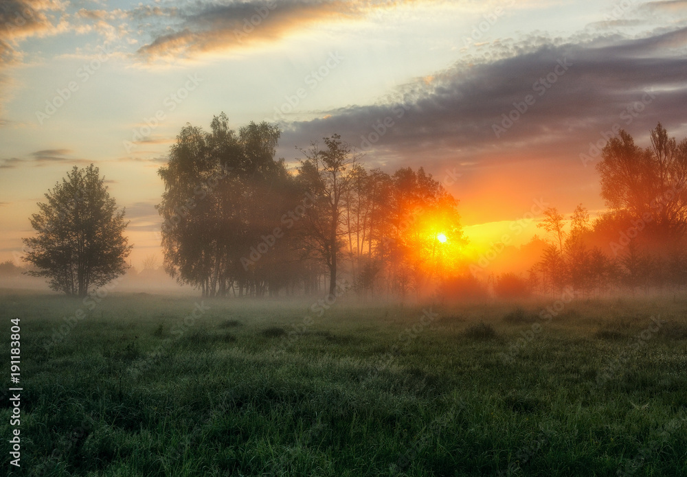 spring morning. a misty dawn in a picturesque meadow. Sun rays