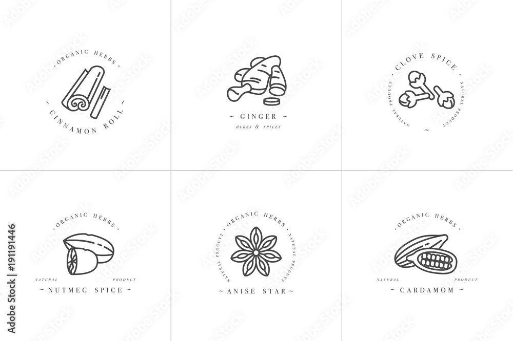 Vector set design monochrome templates logo and emblems - herbs and spices. Different spices icon for mulled wine. Logos in trendy linear style isolated on white background.
