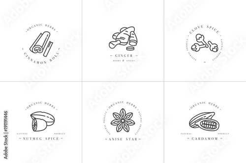 Vector set design monochrome templates logo and emblems - herbs and spices. Different spices icon for mulled wine. Logos in trendy linear style isolated on white background.