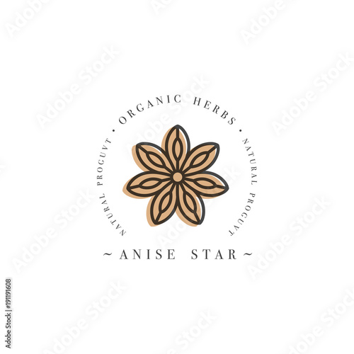 Packaging design template logo and emblem - herb and spice - anise star. Logo in trendy linear style.