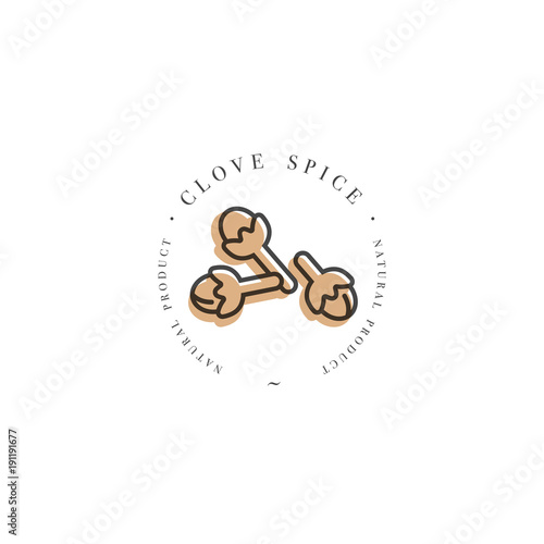 Packaging design template logo and emblem - herb and spice - clove. Logo in trendy linear style.