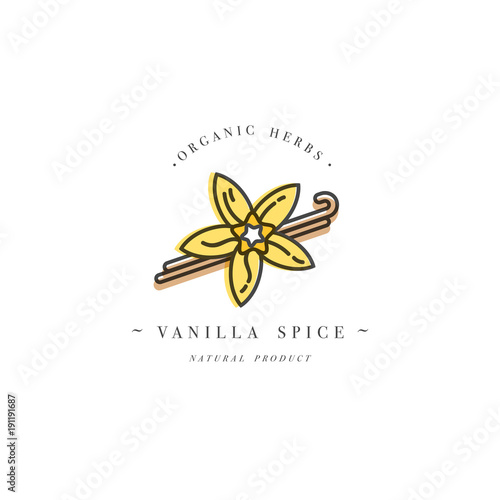 Packaging design template and emblem - herb and spice - vanilla flower and pods. Logo in trendy linear style.
