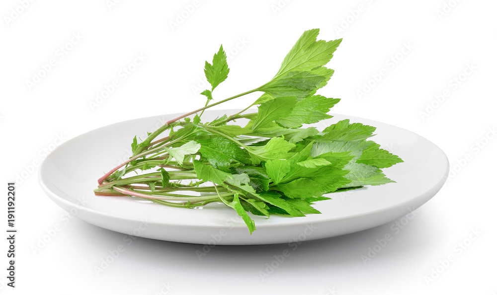 mugwort in plate isolated on a white background mugwort in plate isolated on a white background