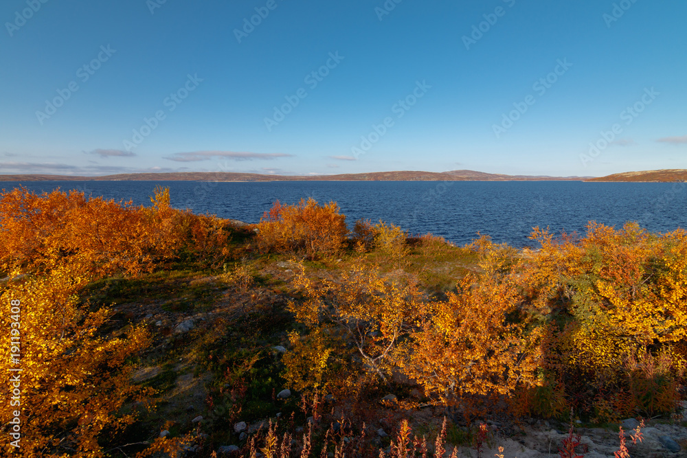 river Teriberka/ river Teriberka in autumn, Murmansk region, Russia