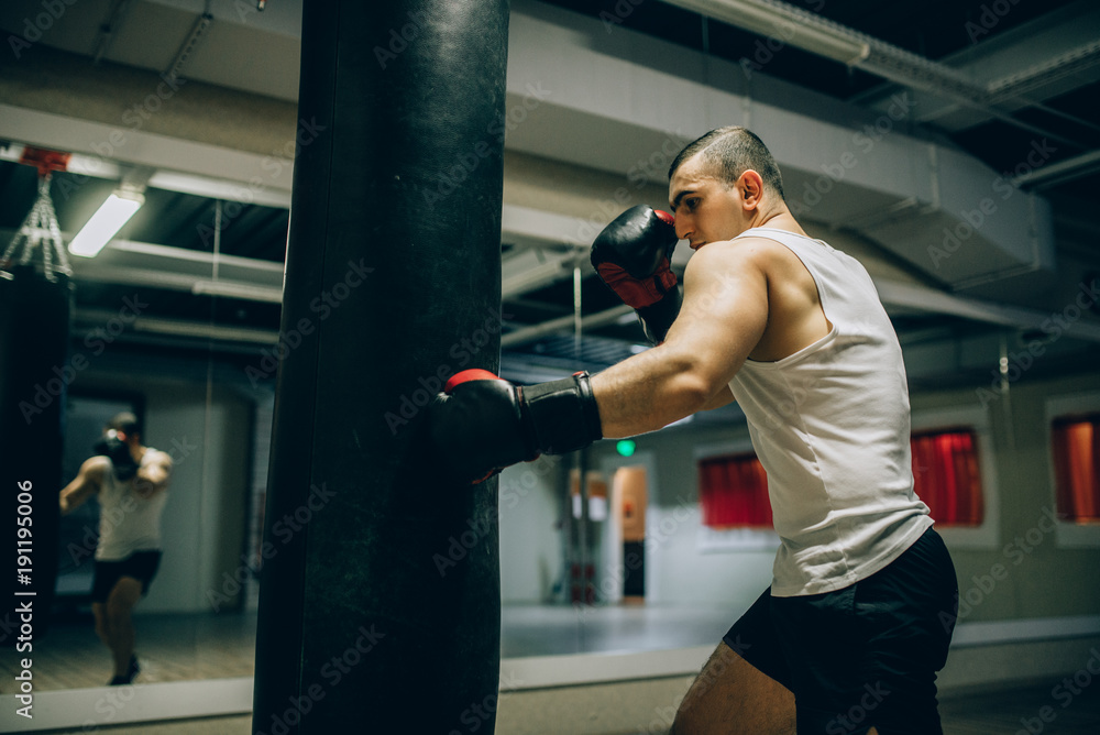 Fototapeta premium boxer