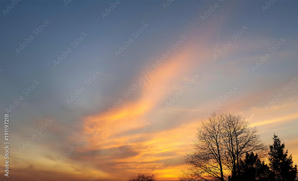 Cheshire evening sky with tree silhouette 