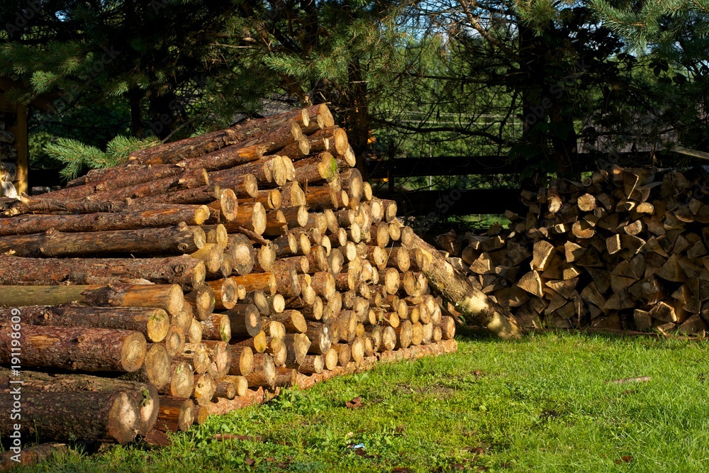 A pile of wooden logs on green grass. 