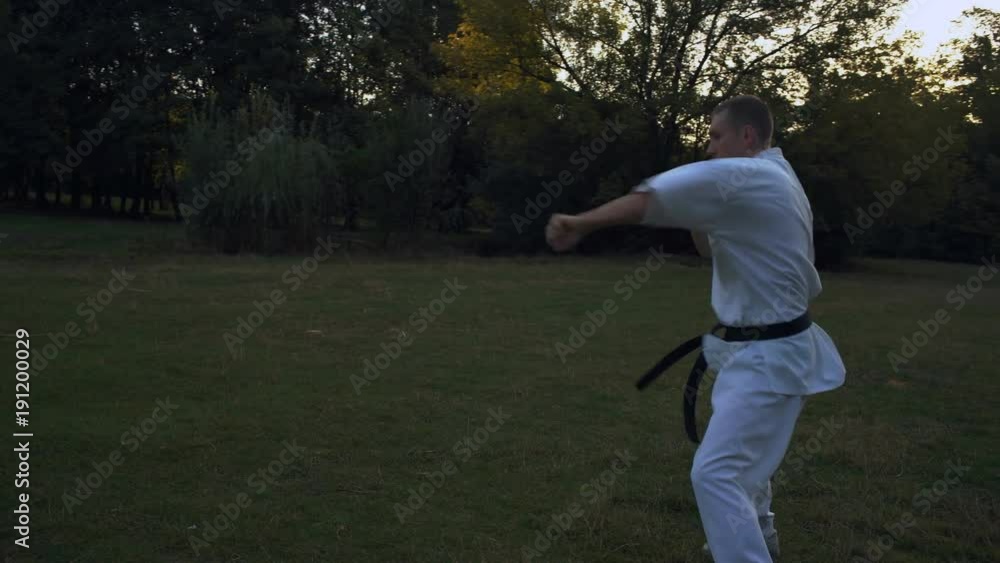 Master of Karate, Deals a Series of Strikes on Glade In the Morning in the City Park, Improvising Fight with Shadow Master of Karate, Deals a Series of Strikes on Glade In the Morning in the City Park, Improvising Fight with Shadow
