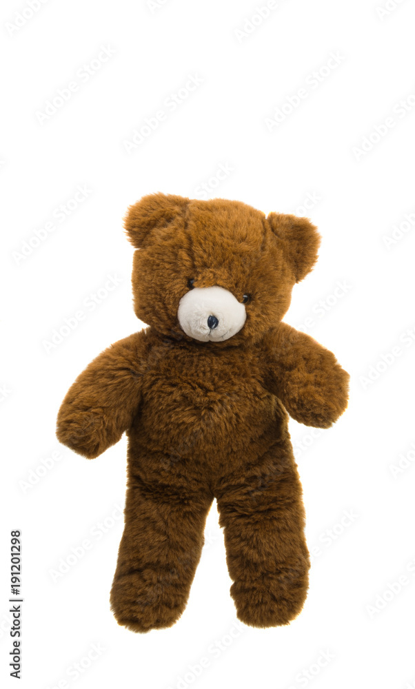 Bear soft toy isolated Bear soft toy isolated