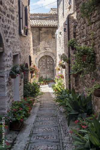 Fototapeta Naklejka Na Ścianę i Meble -  Spello, Perugia, medieval city