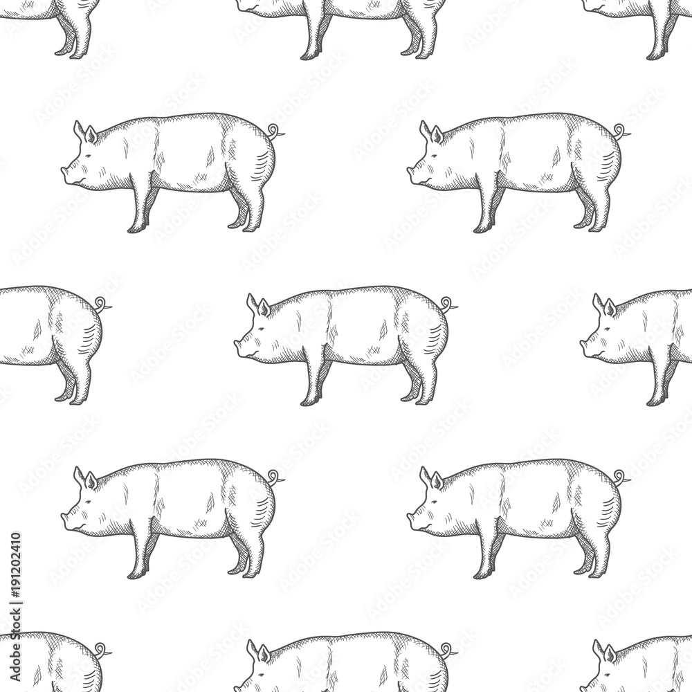Pig vintage engraved illustration Seamless Pattern background. Vector