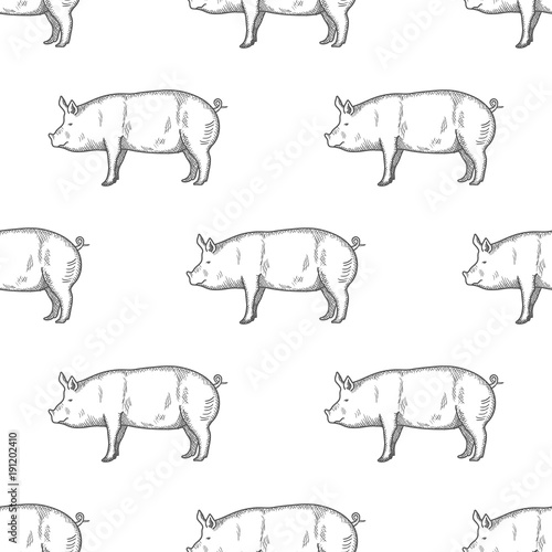 Pig vintage engraved illustration Seamless Pattern background. Vector © idimair
