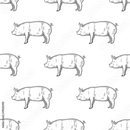 Pig vintage engraved illustration Seamless Pattern background. Vector