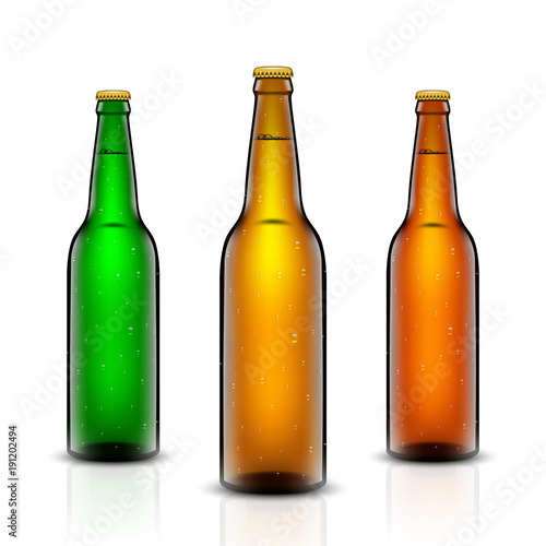Beer bottle vector set.