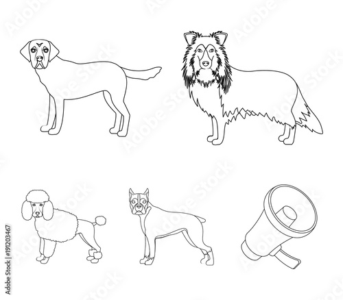 Dog, laika, beagle and other web icon in outline style.Poodle, animal, ears icons in set collection.