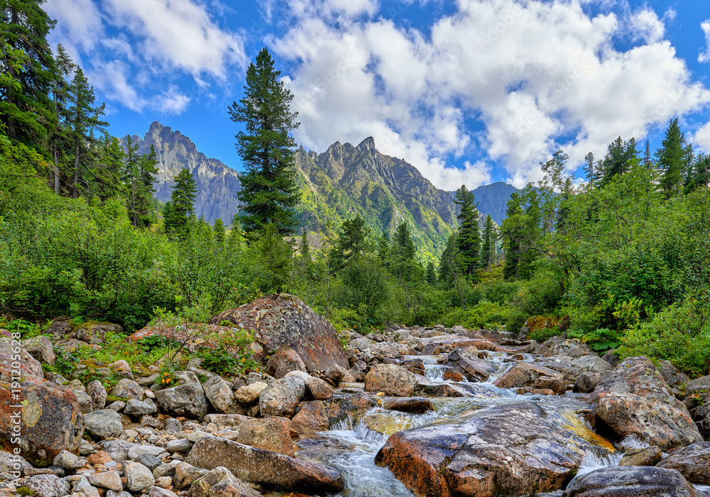 Mountain stream in primeval forest in Siberia Mountain stream in primeval forest in Siberia