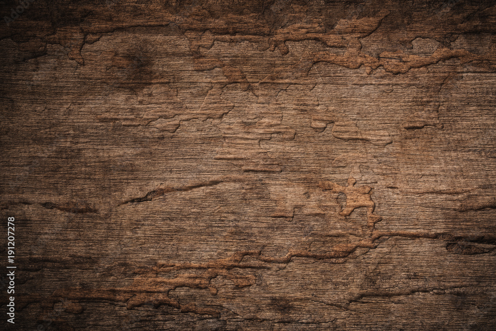 Obraz premium Wood decay with wood termites,Old grunge dark textured wooden background,The surface of the old brown wood texture