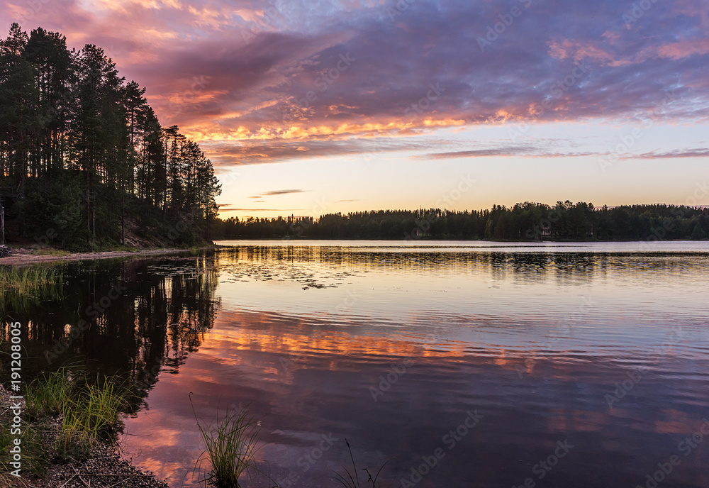 Obraz premium Forest at sunset over the lake