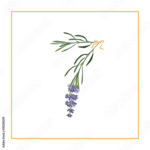 Digit 7 monogram. Retro sign alphabet with lavender flower initial