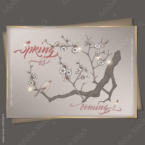 Romantic A4 format vintage greeting card template with spring brush calligraphy and blooming plum branch sketch.
