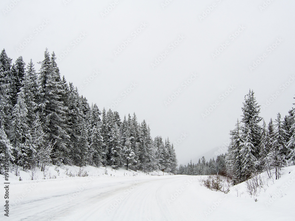 Fototapeta premium The road 93 Icefield Parkway in Winter at Jasper National park,Canada