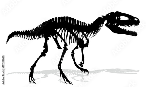Skeleton of ancient big dinosaur.