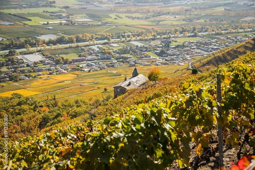 Vignes en automne de Fully et Charrat, Suisse photo