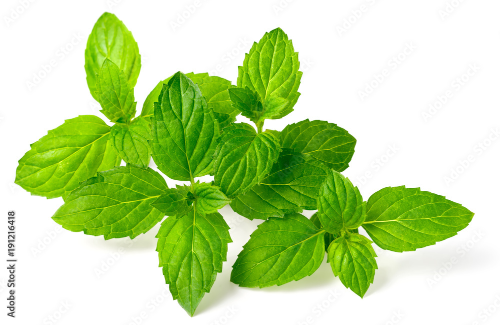fresh herb, green peppermint isolated on white fresh herb, green peppermint isolated on white