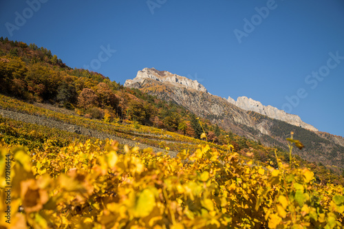 Vignes en automne de Fully et Charrat, Suisse