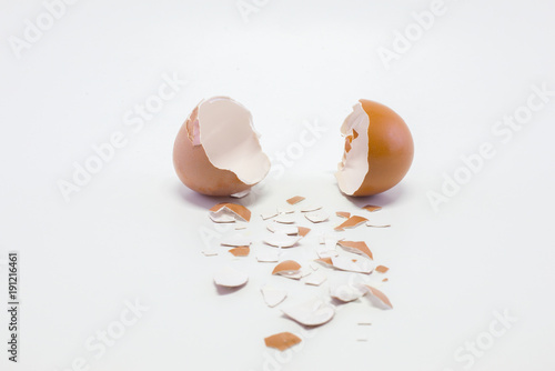The egg shells spread on a white background with empty space.
