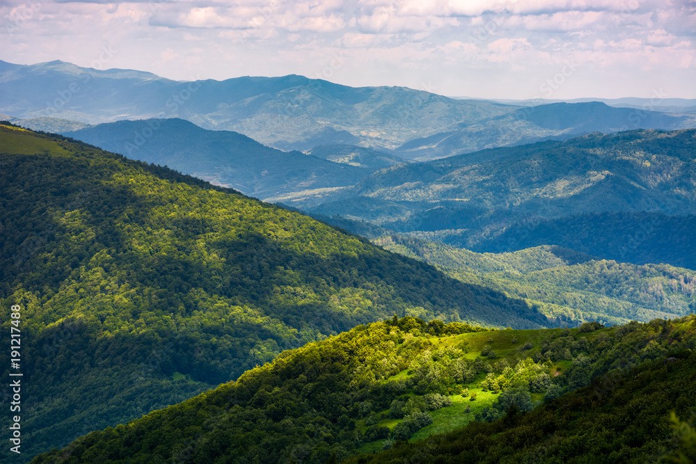 Fototapeta premium grassy slopes of Carpathian mountains. beautiful summer landscape on a cloudy day. location Runa mountain, Ukraine