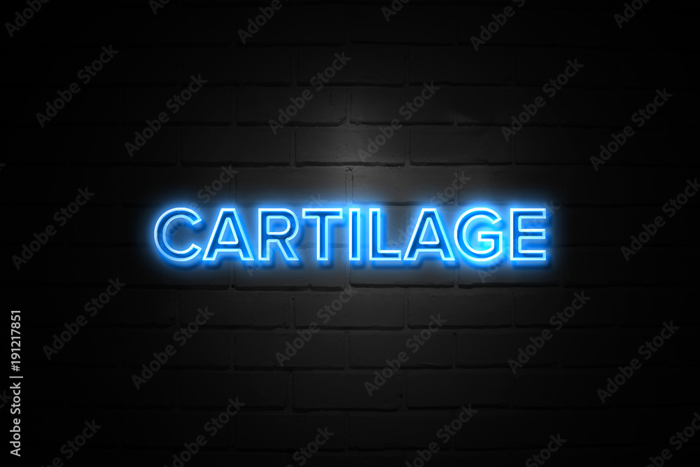 Cartilage neon Sign on brickwall Cartilage neon Sign on brickwall
