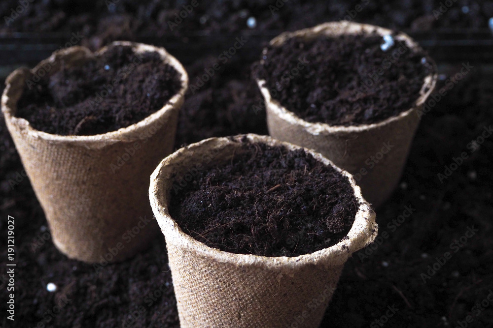 Peat pots for seedlings. Spring planting of plant seeds.
Peat pots for seedlings. Spring planting of plant seeds.