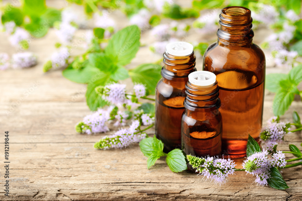 fresh purple Peppermint flowers and Peppermint essential oil on the wooden table fresh purple Peppermint flowers and Peppermint essential oil on the wooden table