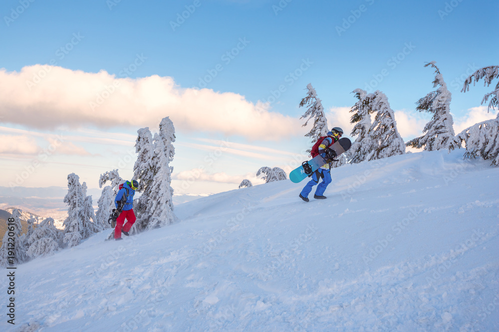 Two snowboarders rise up amidst curved snow-covered fir trees