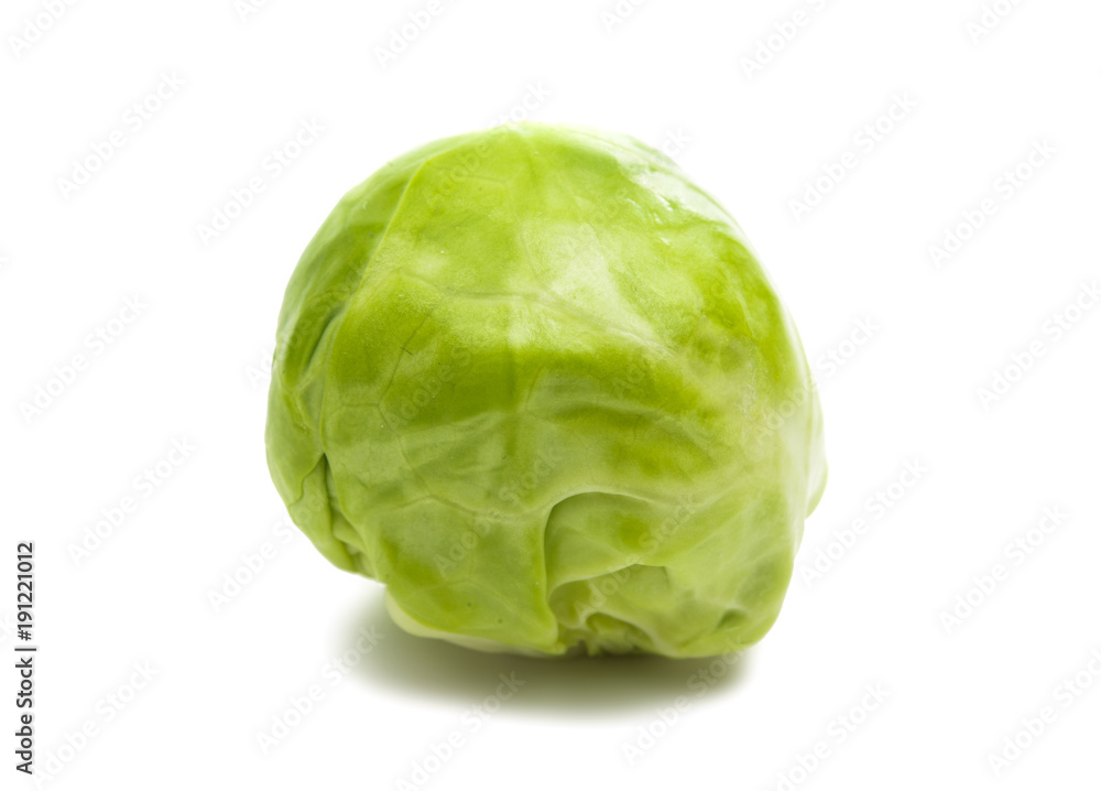 brussels sprouts isolated brussels sprouts isolated