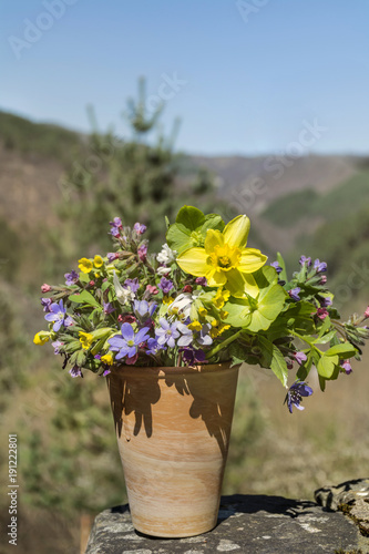 bouquet of colorful spring flowers on a mountain background