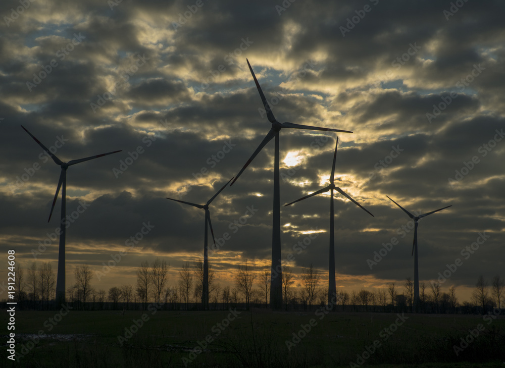 Obraz premium Windräder im Abendlicht